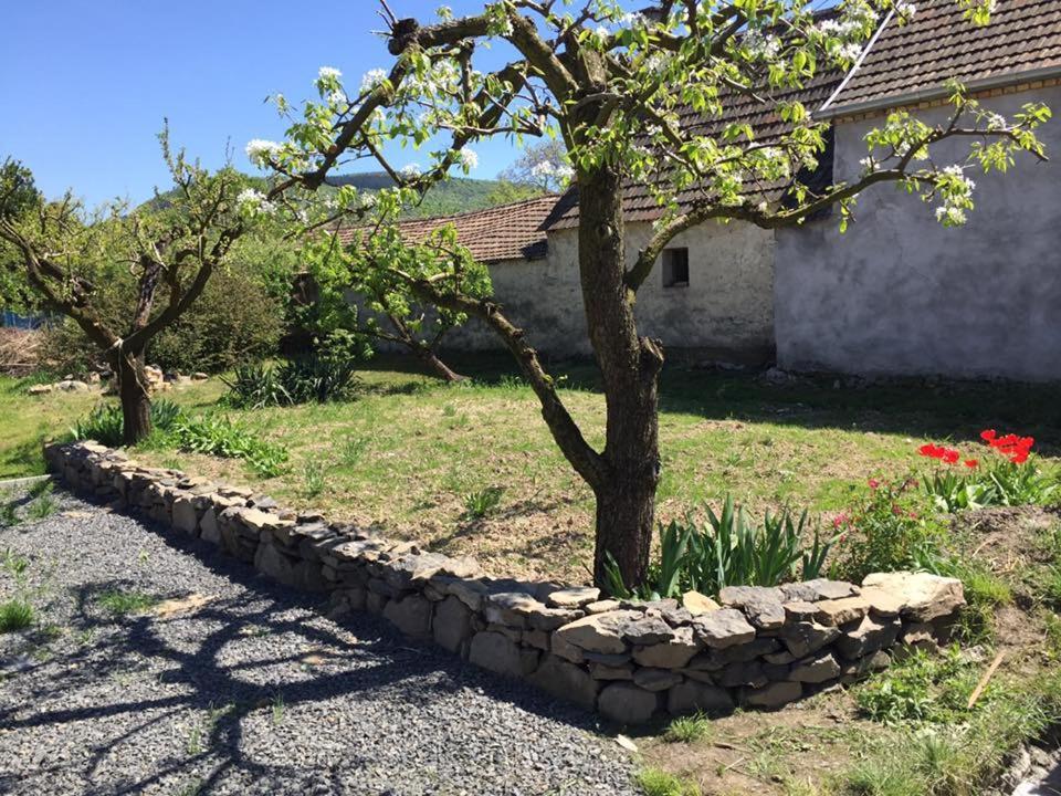 Villa Luis Golyas Haza Raposka Exterior foto